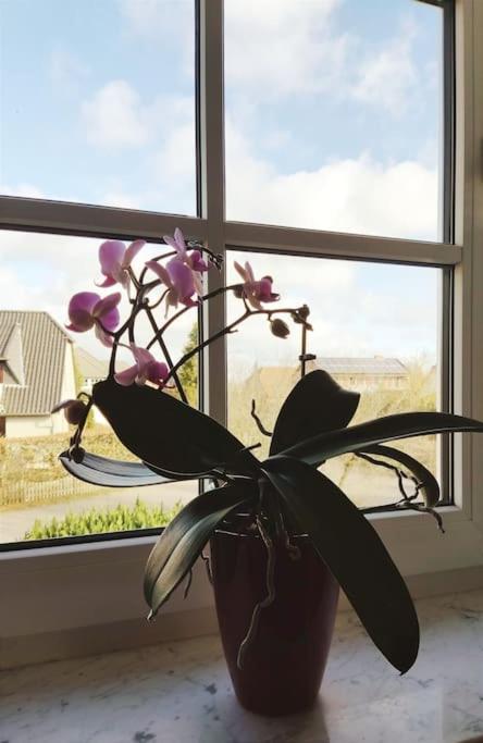 Ferienwohnung Nahe Der Ostsee Steinhagen  外观 照片